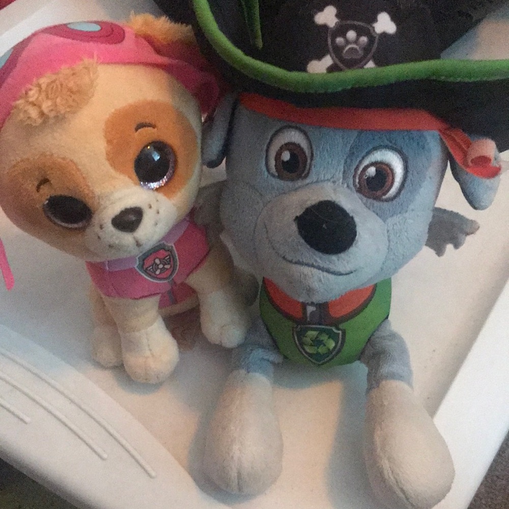 Rocky & Skye Paw Patrol plushies